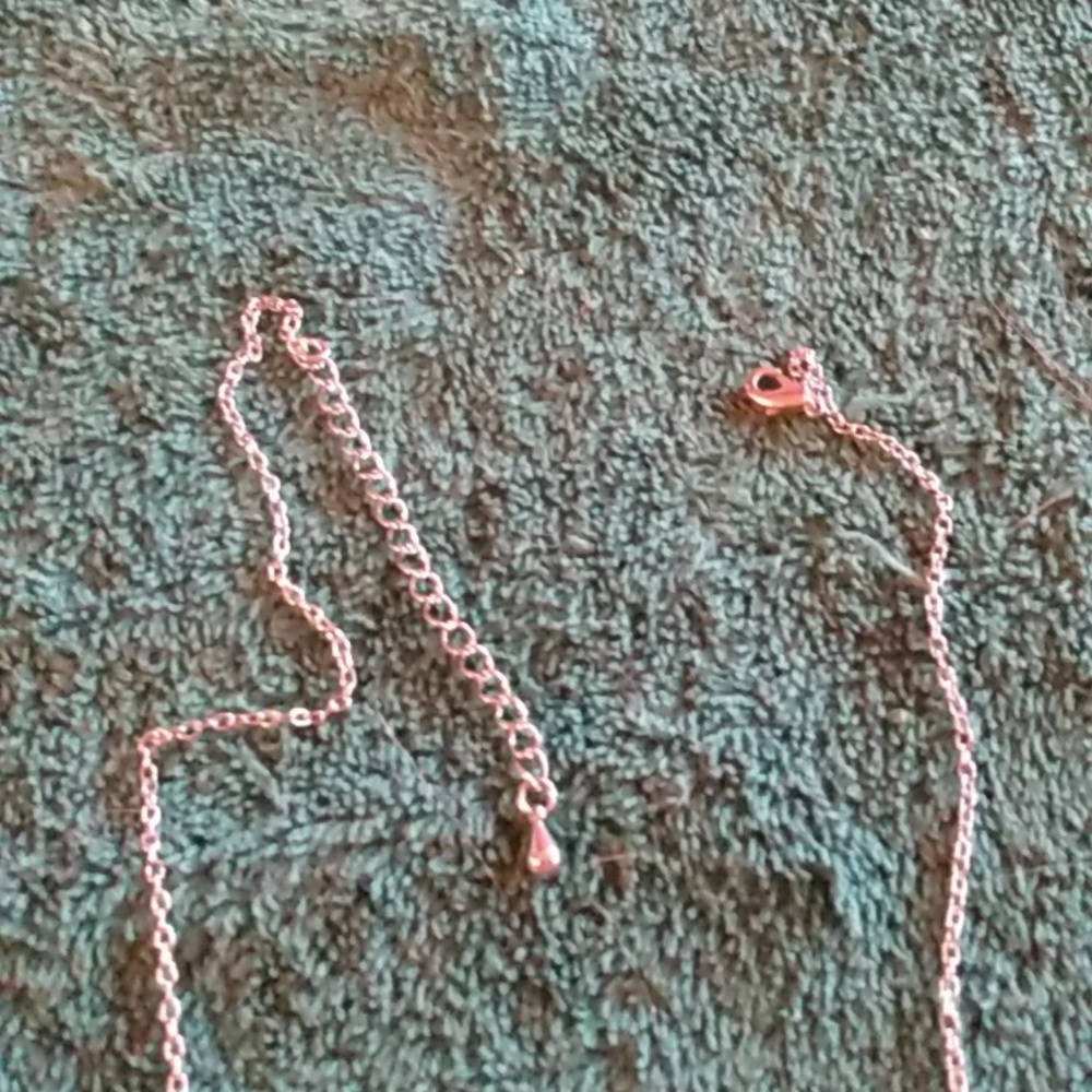 6/$20 Necklaces - Picture 8 of 8